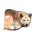 クリンな日（個別スタンプ：2）