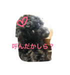 トイプーのララスタンプ（個別スタンプ：3）