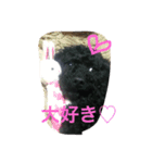 トイプーのララスタンプ（個別スタンプ：12）