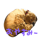 るるとのの（個別スタンプ：2）
