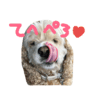 るるとのの（個別スタンプ：7）
