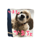 るるとのの（個別スタンプ：12）