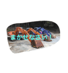 かあ8（個別スタンプ：6）