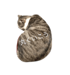 ねこ氏。（個別スタンプ：2）