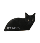 ねこ氏。（個別スタンプ：3）