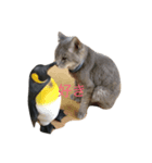 ねこ氏。（個別スタンプ：5）