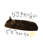 てんの日常2（個別スタンプ：8）