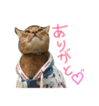 てんの日常2（個別スタンプ：15）