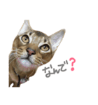 てんの日常2（個別スタンプ：20）