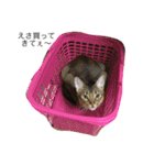 てんの日常2（個別スタンプ：32）