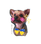 じゃきおくん×まぷたろう（個別スタンプ：14）