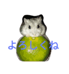 なる姫とトイピー（個別スタンプ：1）