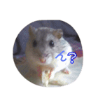 なる姫とトイピー（個別スタンプ：2）