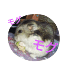 なる姫とトイピー（個別スタンプ：7）
