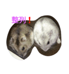 なる姫とトイピー（個別スタンプ：8）
