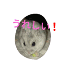 なる姫とトイピー（個別スタンプ：11）
