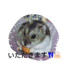 なる姫とトイピー（個別スタンプ：14）