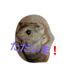 なる姫とトイピー（個別スタンプ：19）