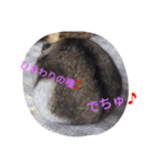 なる姫とトイピー（個別スタンプ：22）