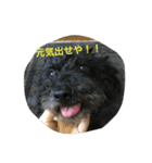くうちゃーん！！（個別スタンプ：3）