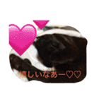 猫達の休日（個別スタンプ：15）