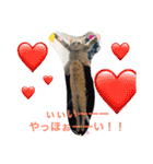 猫達の休日（個別スタンプ：22）