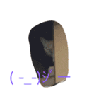 猫達の休日（個別スタンプ：24）