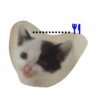 ボケっとしてます（個別スタンプ：1）