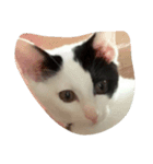 ボケっとしてます（個別スタンプ：4）