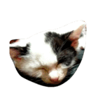ボケっとしてます（個別スタンプ：5）