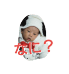 うちの仁さま2（個別スタンプ：4）