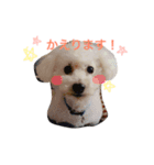 りんりんころん（個別スタンプ：3）