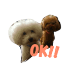 りんりんころん（個別スタンプ：5）
