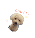 りんりんころん（個別スタンプ：6）