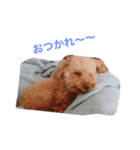 りんりんころん（個別スタンプ：7）