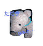 かわいい熊（個別スタンプ：7）