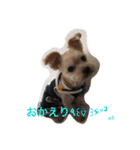 ウチのペ〜ちゃん1（個別スタンプ：15）