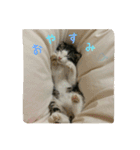 雨と雷（個別スタンプ：2）
