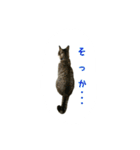 雨と雷（個別スタンプ：6）