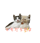 雨と雷（個別スタンプ：7）