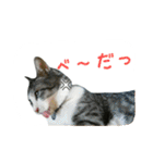 雨と雷（個別スタンプ：8）