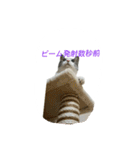 雨と雷（個別スタンプ：10）