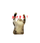 雨と雷（個別スタンプ：15）
