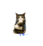 雨と雷（個別スタンプ：18）