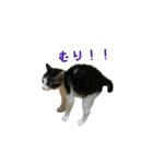 雨と雷（個別スタンプ：19）