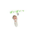雨と雷（個別スタンプ：21）