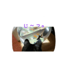 雨と雷（個別スタンプ：23）