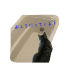 雨と雷（個別スタンプ：31）