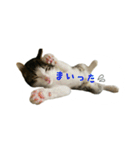 雨と雷（個別スタンプ：32）