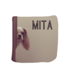 パンちゃんのふだんづかいスタンプ（個別スタンプ：4）